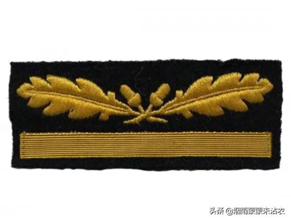 條條槓槓眼花繚亂,看看二戰德國黨衛軍迷彩軍銜是啥樣 條條槓槓眼花繚亂,看看二戰德國黨衛軍迷彩軍銜是啥樣