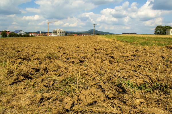 2022年嚴查&OpenCurlyDoubleQuote;違法用地&rdquo;，翻建、新建住房也將處罰，農民要注意