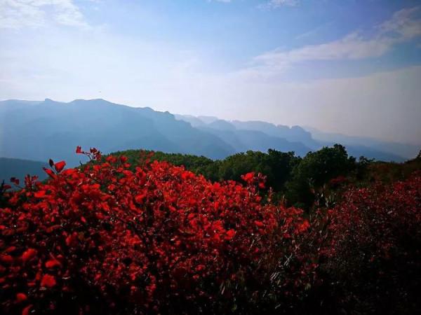 太行山最美的秋色在這裡