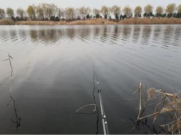 冬釣大鯽魚，其實並非晴天，這兩種天氣才最適合釣魚