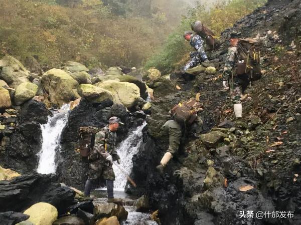 金絲猴、羚牛、勺雞、中華鬣羚,這些寶貝都來咱什邡當網紅了! 金絲猴、羚牛、勺雞、中華鬣羚,這些寶貝都來咱什邡當網紅了!