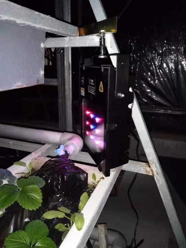 浙江農民室內3米立體栽培“帶電”蔬菜,用電防蟲不打藥,漲見識 浙江農民室內3米立體栽培“帶電”蔬菜,用電防蟲不打藥,漲見識