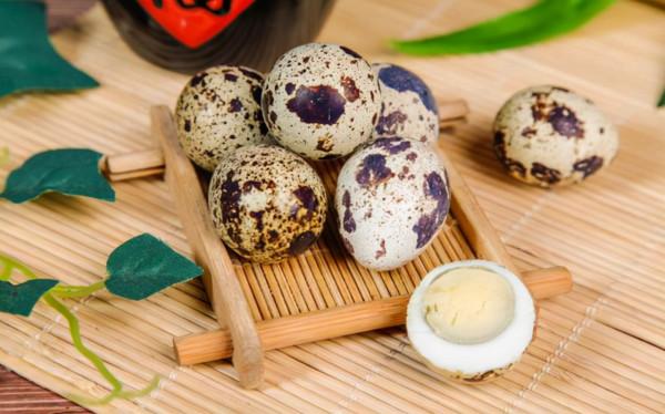 常吃鵪鶉蛋，或會給身體帶來4個“好處”，不妨瞭解