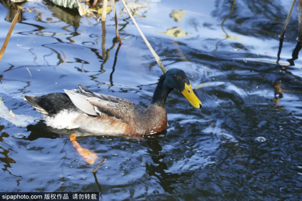 北京離“銀河”最近的地方!人少景美,就在三環邊上! 北京離“銀河”最近的地方!人少景美,就在三環邊上!