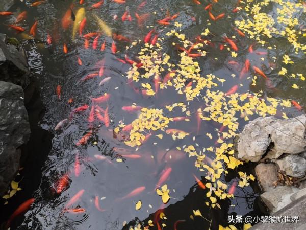 一個人去哪？國內超適合一個人去玩的地方