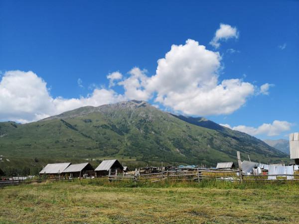 大美新疆（三）：遇見-禾木