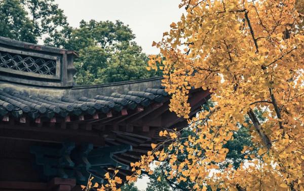 《素書》“括襄順會，所以無咎”，禍從口出，遠離是非，免招禍患