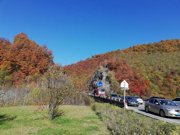 十一假期自駕長白山十五道溝,一路風景如畫,美不勝收 十一假期自駕長白山十五道溝,一路風景如畫,美不勝收