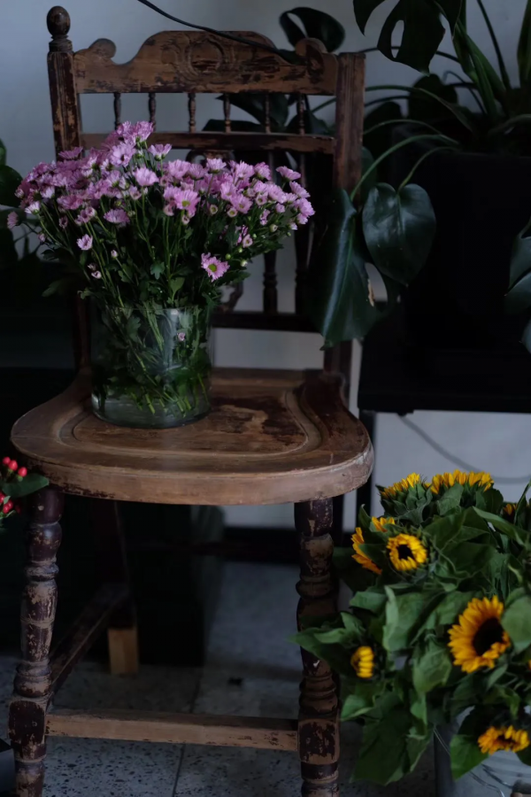 千年運河旁,4個80後閨蜜把花園搬進房子,打造閨蜜版的愛情公寓 千年運河旁,4個80後閨蜜把花園搬進房子,打造閨蜜版的愛情公寓