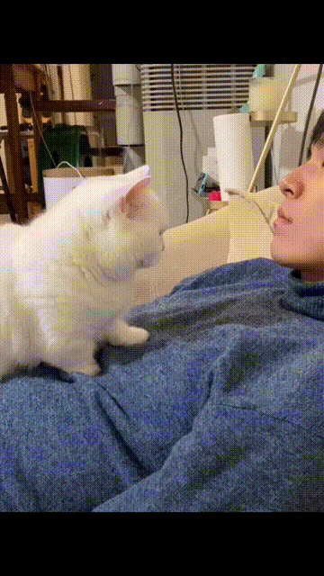 著名童星偷偷整了容 這差別也太大了吧 著名童星偷偷整了容 這差別也太大了吧