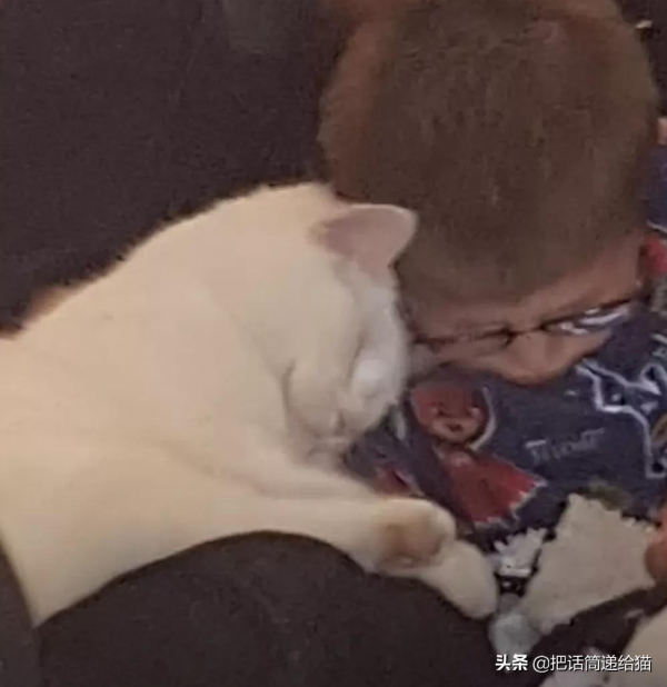 腦癱男孩與他的三腳貓老師:對有些人來說,有貓在就是團圓 腦癱男孩與他的三腳貓老師:對有些人來說,有貓在就是團圓