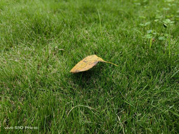 輕薄機身和1億畫素主攝 拍照和外觀全面進化的vivo S10 Pro 輕薄機身和1億畫素主攝 拍照和外觀全面進化的vivo S10 Pro