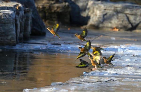 新年伊始，永珍更新，您好2022
