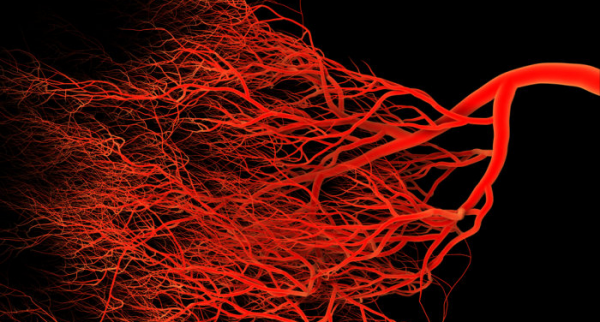 久坐或很久沒運動,突然運動或跑步,為什麼會感覺面板“癢”? 久坐或很久沒運動,突然運動或跑步,為什麼會感覺面板“癢”?
