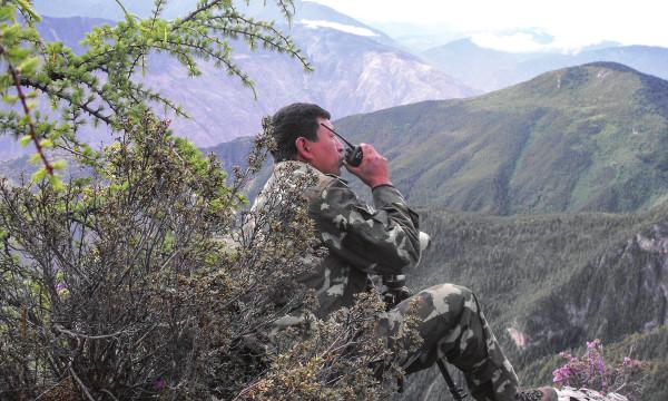 一名男子 38 年在雲南省鬱鬱蔥蔥的山谷中保護野生動物的職業生涯 一名男子 38 年在雲南省鬱鬱蔥蔥的山谷中保護野生動物的職業生涯