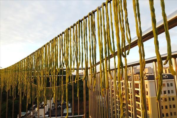 這6種蔬菜好吃還不貴,秋天正當季,多買點曬乾,冬天燉肉真過癮 這6種蔬菜好吃還不貴,秋天正當季,多買點曬乾,冬天燉肉真過癮