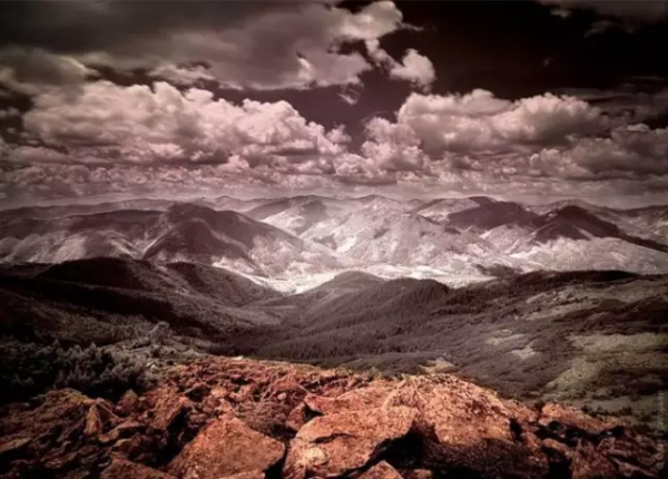 品,秋的味道 品,秋的味道