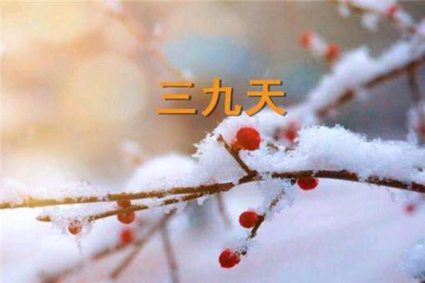 進入“數九寒天”,每天抽出時間,做好4件事,應季養生平安度冬 進入“數九寒天”,每天抽出時間,做好4件事,應季養生平安度冬