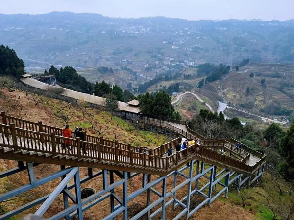 大年初三，龍泉驛觀景臺