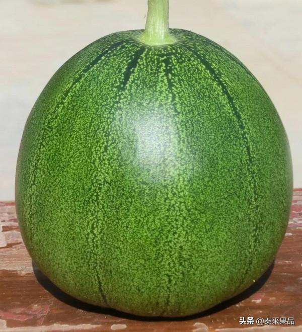 高階品質~千玉6號