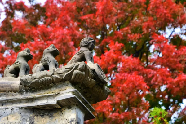 在北京過個秋天，立刻退掉了去騰衝的機票