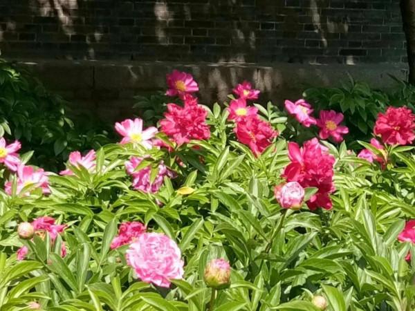 不用花錢的最好鍛鍊方式之（1）&mdash;&mdash;遠足