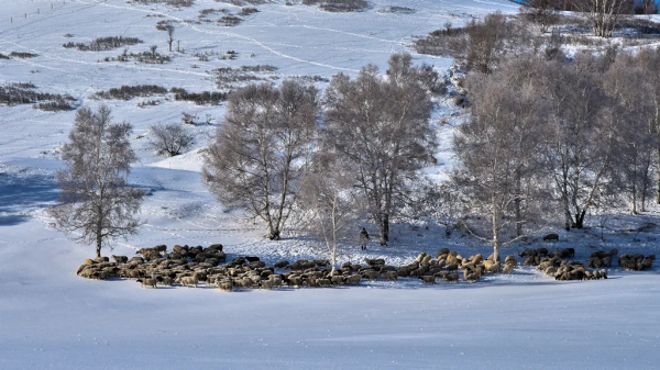 入展圖賞 |“美麗河北 豐蕪康寧”自然資源助力鄉村振興