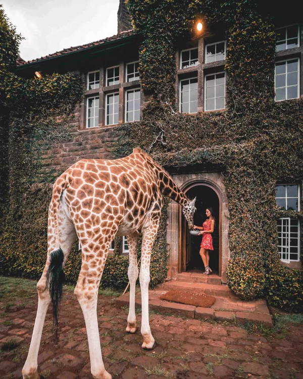 1眼就淪陷!盤點全球zui酷酒店,懸崖邊、飛機上、野生動物園裡… 1眼就淪陷!盤點全球zui酷酒店,懸崖邊、飛機上、野生動物園裡…