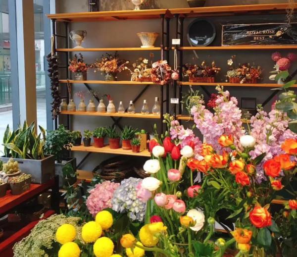 2023十個穩當靠譜創業專案（適合所有人）