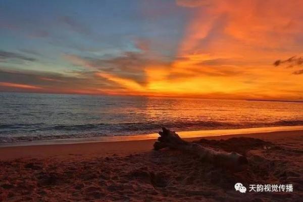 《偶夢》2021.10.29