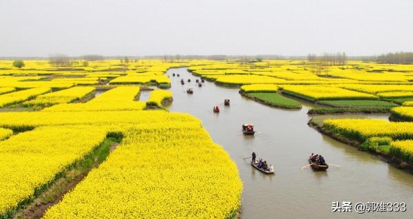 生產隊時期,農民幾乎天天出工,為什麼糧食產量不高?(續) 生產隊時期,農民幾乎天天出工,為什麼糧食產量不高?(續)