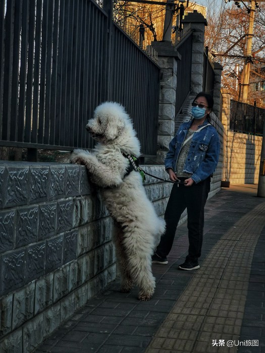一大波歡樂來襲!攝影師抓拍動物的萌趣瞬間 一大波歡樂來襲!攝影師抓拍動物的萌趣瞬間