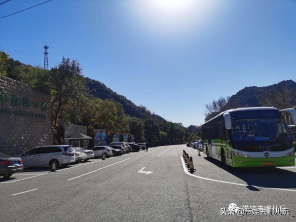 每年僅開放一個月的賞紅景點,到底值不值得去? 每年僅開放一個月的賞紅景點,到底值不值得去?