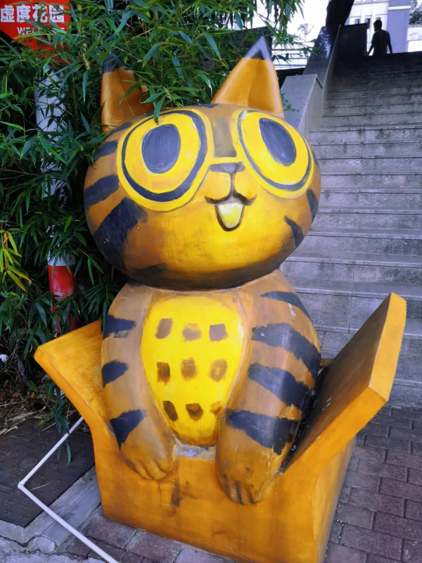 奔著體驗汽車影院而去，沒想到被周圍免費的環境吸引到了