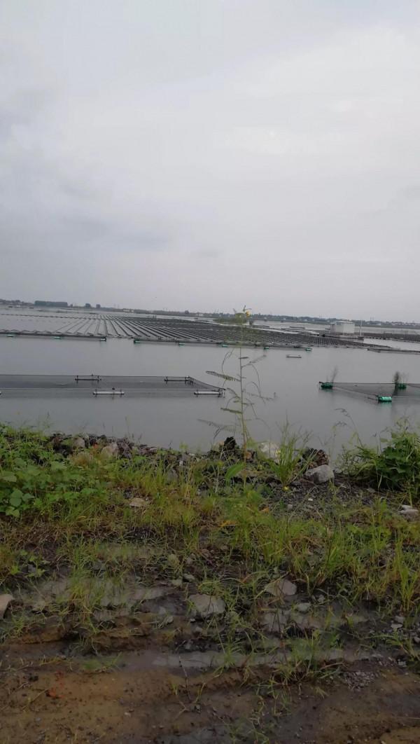 野釣選好釣位一定能爆護的秘訣 野釣選好釣位一定能爆護的秘訣