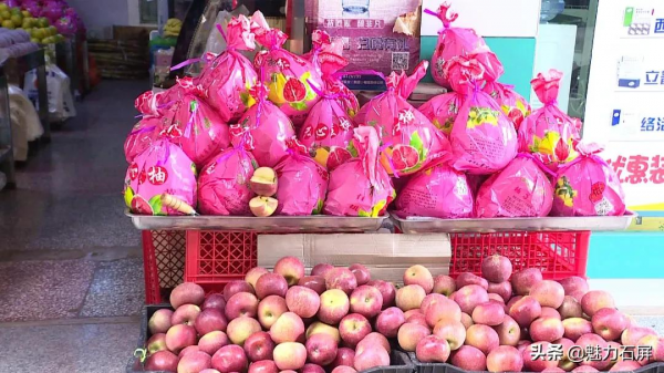 秋季水果扎堆上市 你最喜歡吃什麼? 秋季水果扎堆上市 你最喜歡吃什麼?