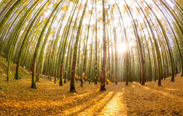 10個頂級玩家,最愛的國內小眾旅行地,看看你去過幾個? 10個頂級玩家,最愛的國內小眾旅行地,看看你去過幾個?