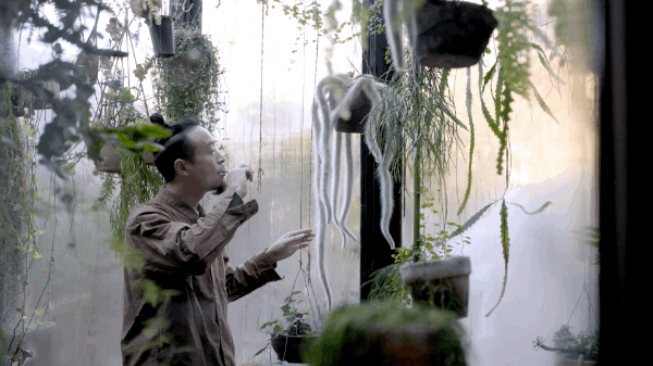 北大女博士成直男迷妹，租下北京二環四合院，打造出最綠的房子