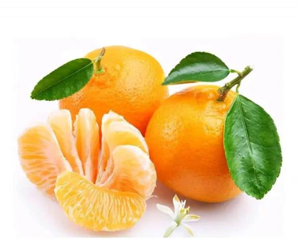 冬至來臨，3種“吉祥果”擺放在臥室，寓意天曰九如地獻五福