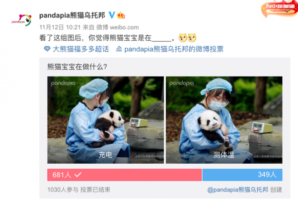 今天，來說說如何給大熊貓“充電”