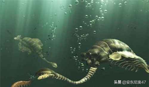 寒武紀生物介紹——歐巴賓海蠍 寒武紀生物介紹——歐巴賓海蠍