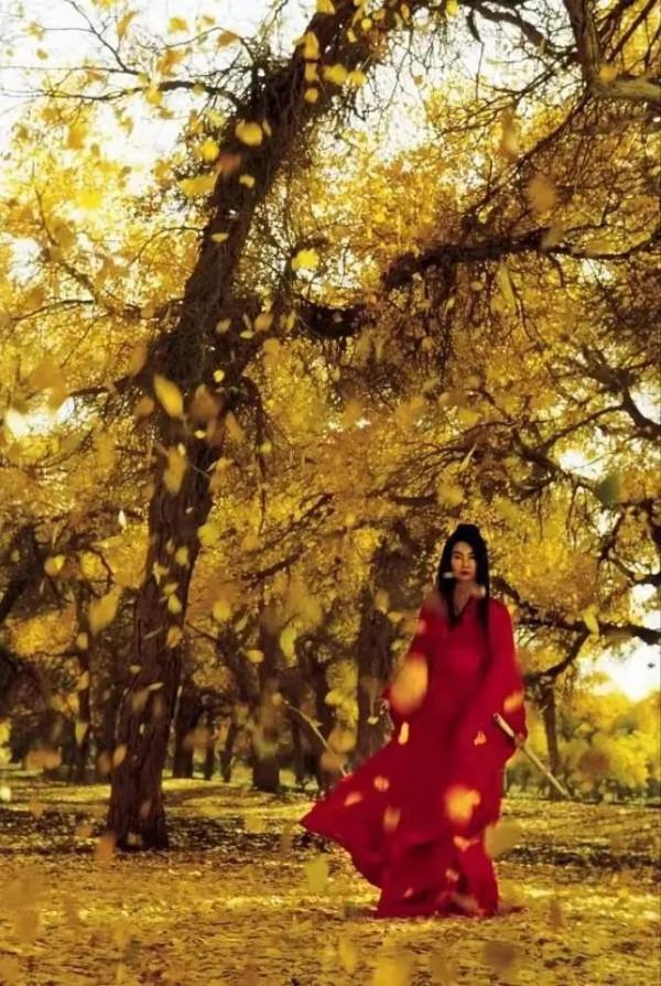 被經典影片帶火的廣西7個拍攝地，你都去過嗎？|廣西旅遊年卡