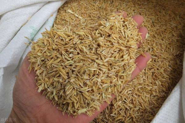 谷維素一片不到兩毛，更年期的5個常見難題，合理補充有助改善