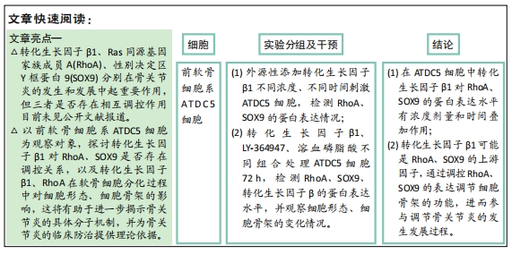 轉化生長因子β1及Ras同源基因家族成員A在軟骨細胞分化過程中對細胞形態和細胞骨架的影響