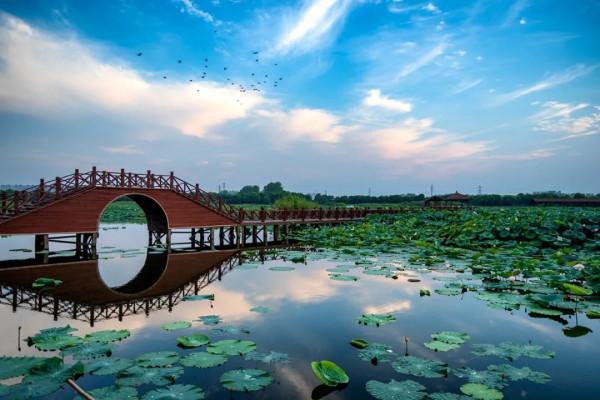 蘇州夏季旅遊有哪些值得去的地方?最全旅遊攻略,只看這篇就夠 蘇州夏季旅遊有哪些值得去的地方?最全旅遊攻略,只看這篇就夠