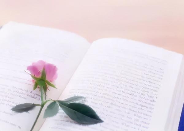 如果你對人生感到迷惘，建議你看看這本書