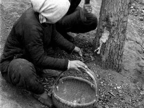 短篇小說:劉老寡的愛情 短篇小說:劉老寡的愛情