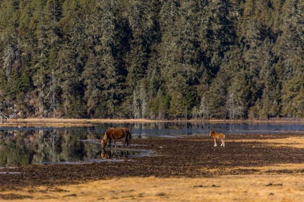 住進遺落人間的天堂 哈弗M6 PLUS生活記