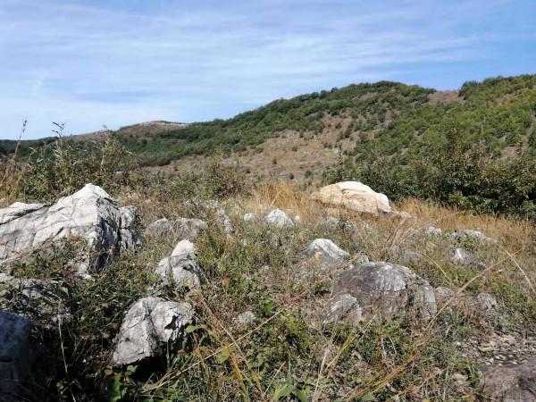 鎮平紅嶺窩的楚長城歷史探微