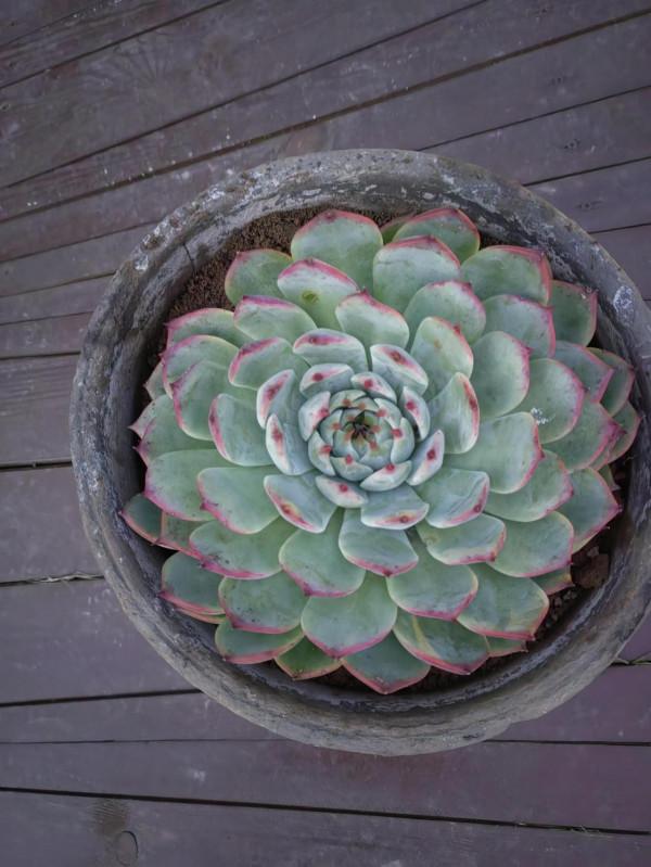 小煩惱小焦慮還有小悲傷 小煩惱小焦慮還有小悲傷